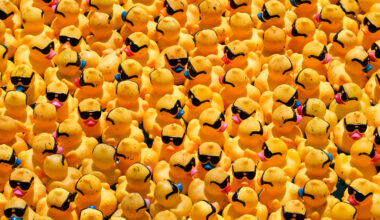 The Chicago Ducky Derby Brings 100,000 Rubber Ducks to the Chicago River