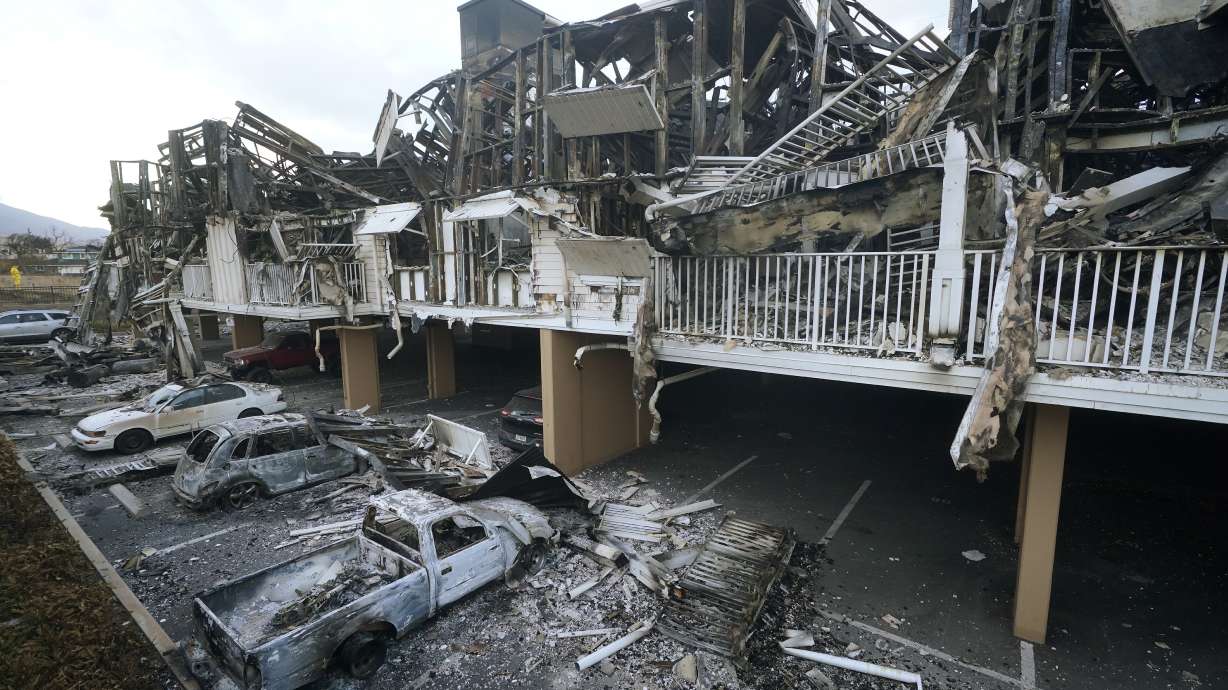 New studies tie unrecognized deaths, health problems to Maui and LA wildfires