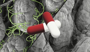 Non-antibiotic drugs can also disrupt the microbiome