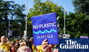 More than 200 lobbyists at UN’s plastic treaty talks will limit progress, campaigners warn | Plastics