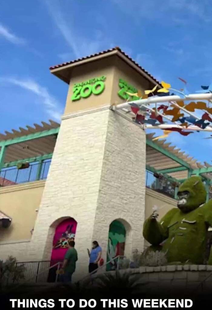 Things to do this weekend in San Antonio (Aug. 8-10)