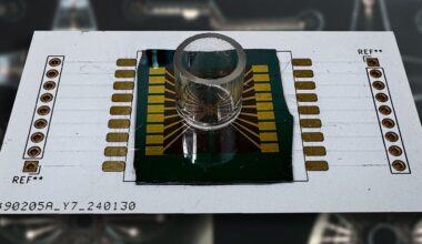 Biochips Mimic the Brain to Cut AI Energy Use