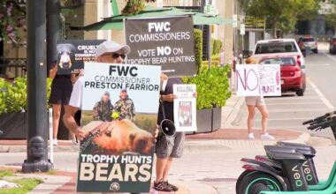 Florida wildlife officials to vote on bear hunt