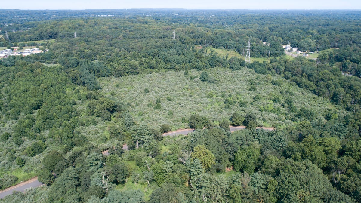 NJ Marlboro Psychiatric Hospital site to become Monmouth County park
