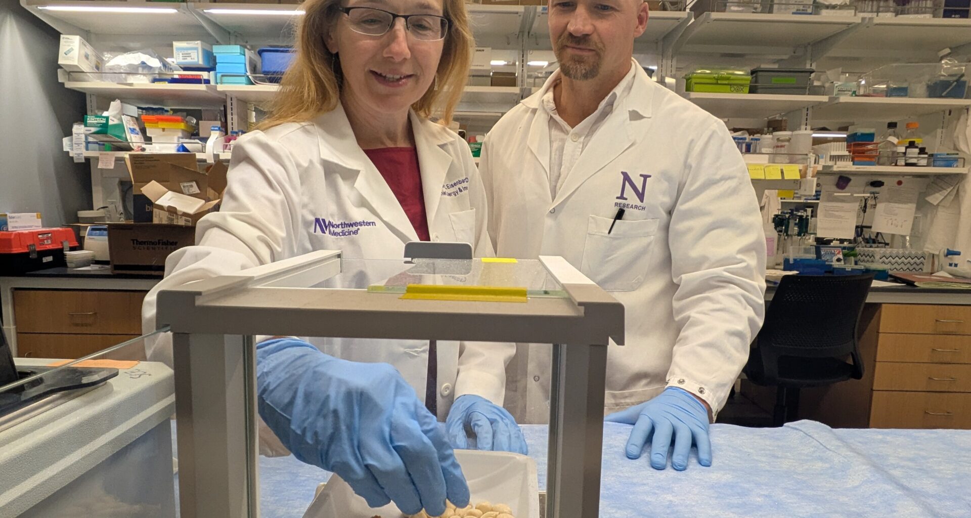Asthma drug Zileuton prevents severe food allergy reactions in mouse study