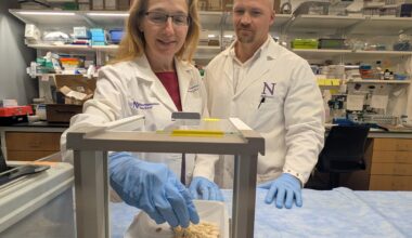 Asthma drug Zileuton prevents severe food allergy reactions in mouse study