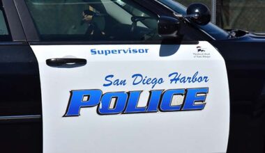Harbor police ask public for help finding driver in fatal hit-and-run