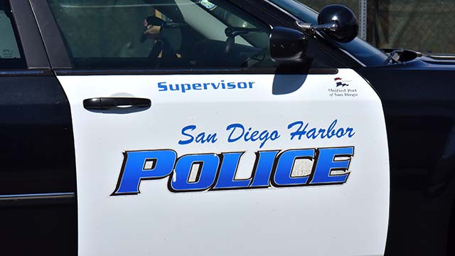 Harbor police ask public for help finding driver in fatal hit-and-run