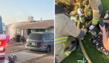 Firefighters rescue woman, 3 cats from west Phoenix house fire