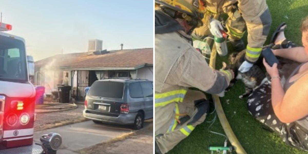 Firefighters rescue woman, 3 cats from west Phoenix house fire