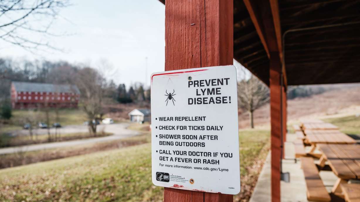 A warmer, humid world where ticks thrive is increasing spread of Lyme and other diseases