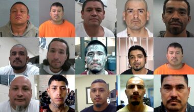 ICE Houston arrests more than 350 gang members in past 6 months