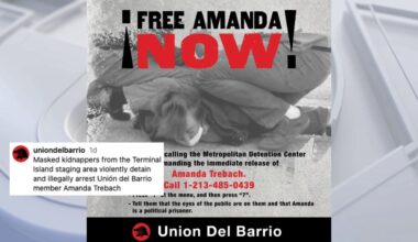 Amanda Trebach: Los Angeles nurse released from ICE custody