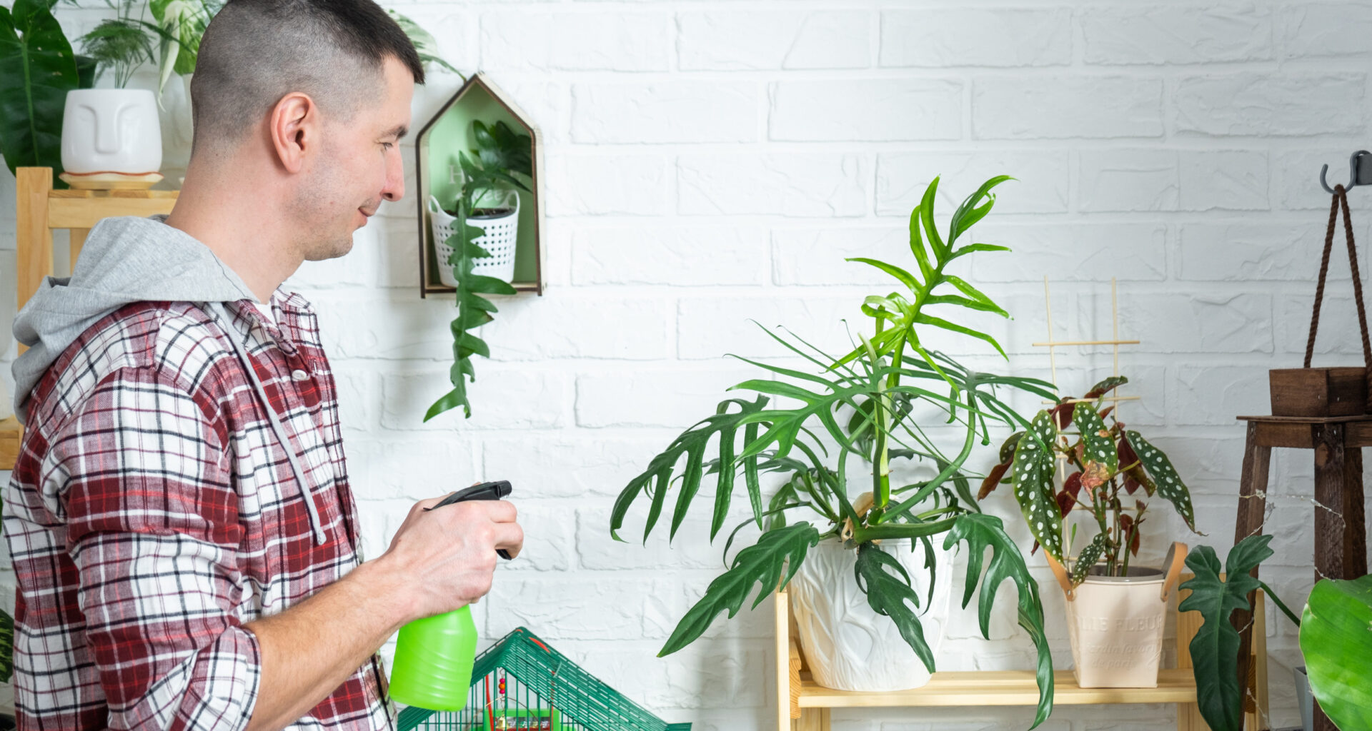 Man watering plant