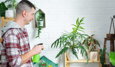 Man watering plant
