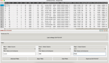 GenMasterTable: a user-friendly desktop application for filtering, summarising, and visualising large-scale annotated genetic variants | BMC Bioinformatics