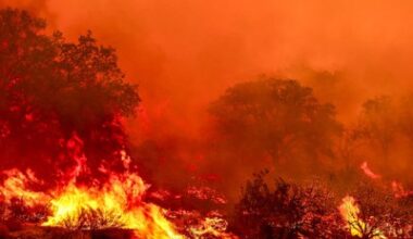 Amid staffing cuts, Forest Service wants seasonal firefighters to work more hours this year