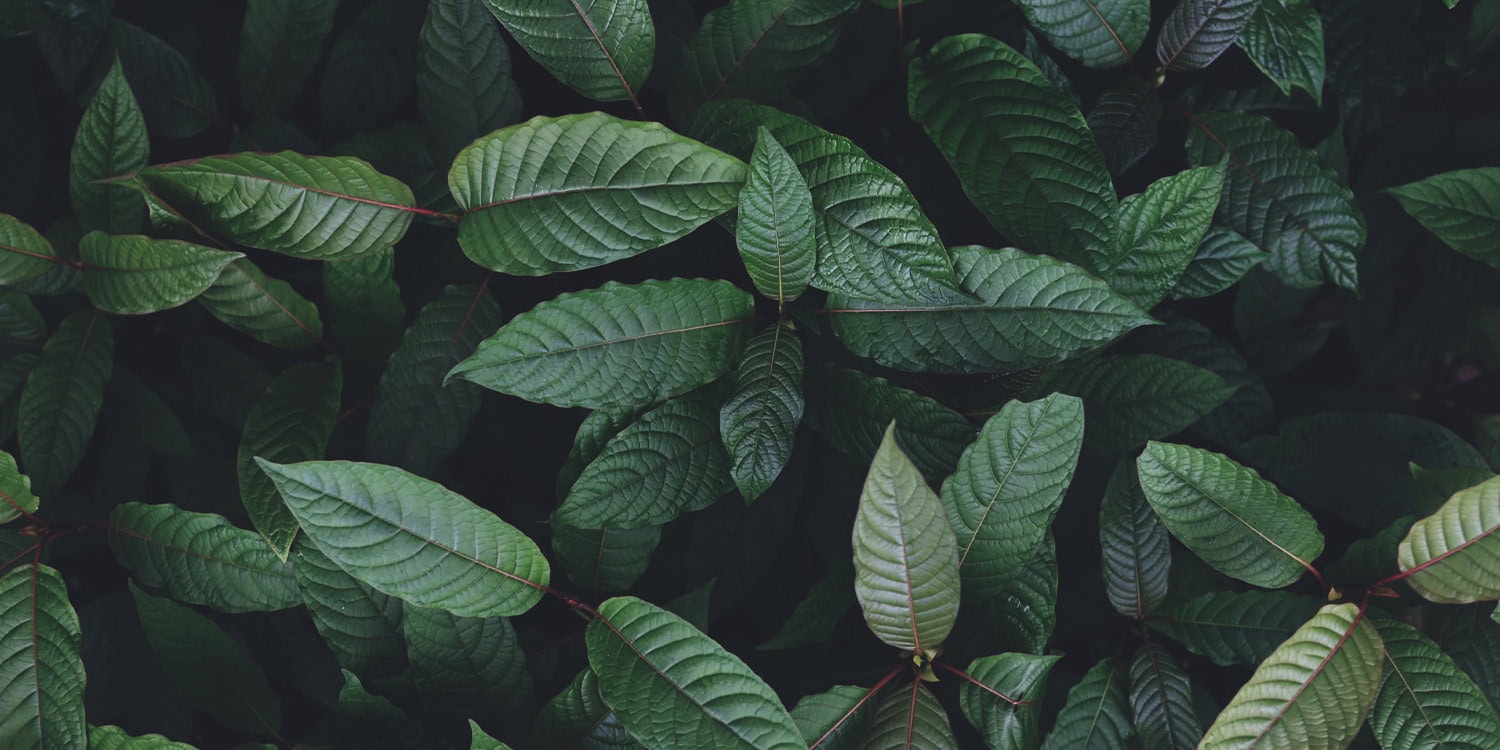 [Adobe Stock]