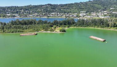 Annual algae bloom forms on Willamette River. A bill to stop it died in the Oregon House