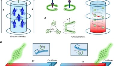 Scientists achieve first observation of phonon angular momentum in chiral crystals