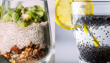 Chia seeds in yogurt vs water: The ultimate comparison for maximum health benefit
