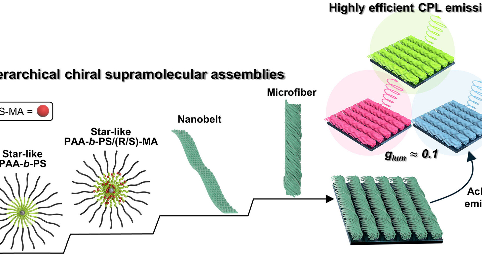 New co-assembly strategy unlocks robust circularly polarized luminescence across the color spectrum