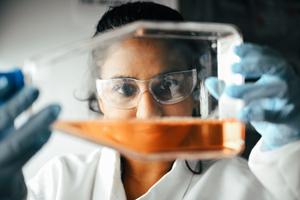 Study uncovers molecular “switch” behind chemoresistance in blood cancer