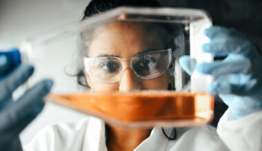 Study reveals genetic switch that helps leukemia cells evade chemotherapy
