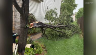 Chicago weather Saturday: Severe thunderstorms down trees in parts of area, Flood Advisory for Cook, DuPage, Will counties
