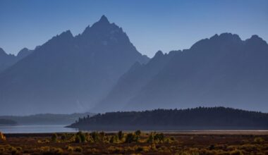 Bat colony found in Grand Teton lodge, possibly exposing hundreds to rabies