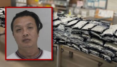 Dallas police seize nearly 400lbs of marijuana after receiving tip