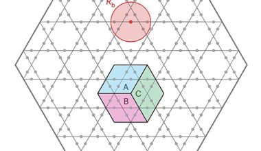Predicting the topological properties of quantum spin liquids using Rydberg atom lattices