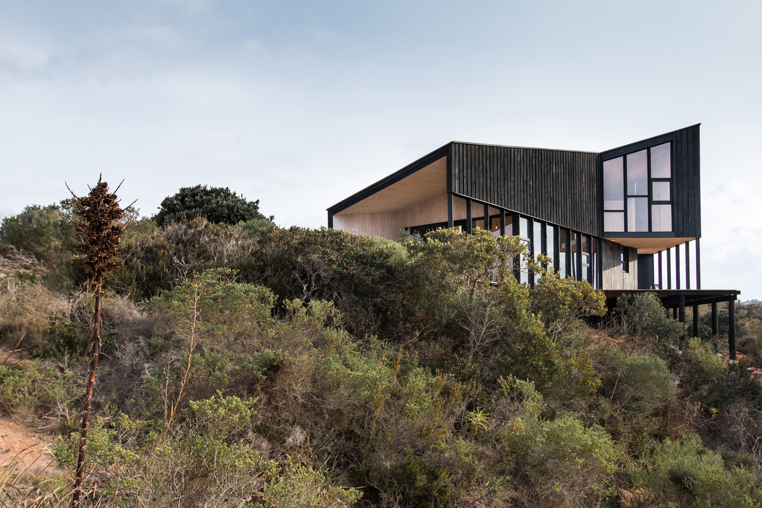 Reflecting on Territory, Topography, and Landscape: Discover WHALE!’s Projects in Chile