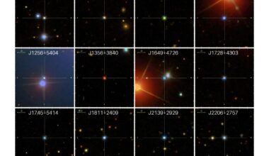 Astronomers discover dozens of new luminous quasars