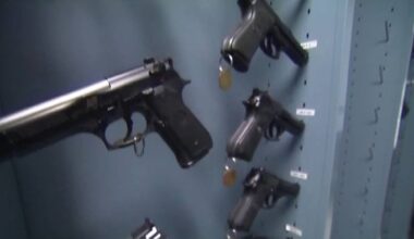 Gun surrender program aims to decrease domestic violence lethality rates in Houston