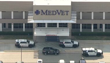 Dallas police K-9 hospitalized for heat-related illness