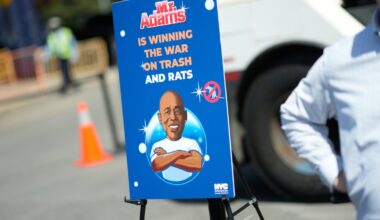 NYC says rats are on the run as trash rules kick in and bins pile up