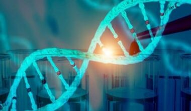 Researchers Map Epigenomic Landscapes of Fat Tissue Cells, Revealing How They Shape Obesity Risk