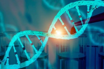 Researchers Map Epigenomic Landscapes of Fat Tissue Cells, Revealing How They Shape Obesity Risk