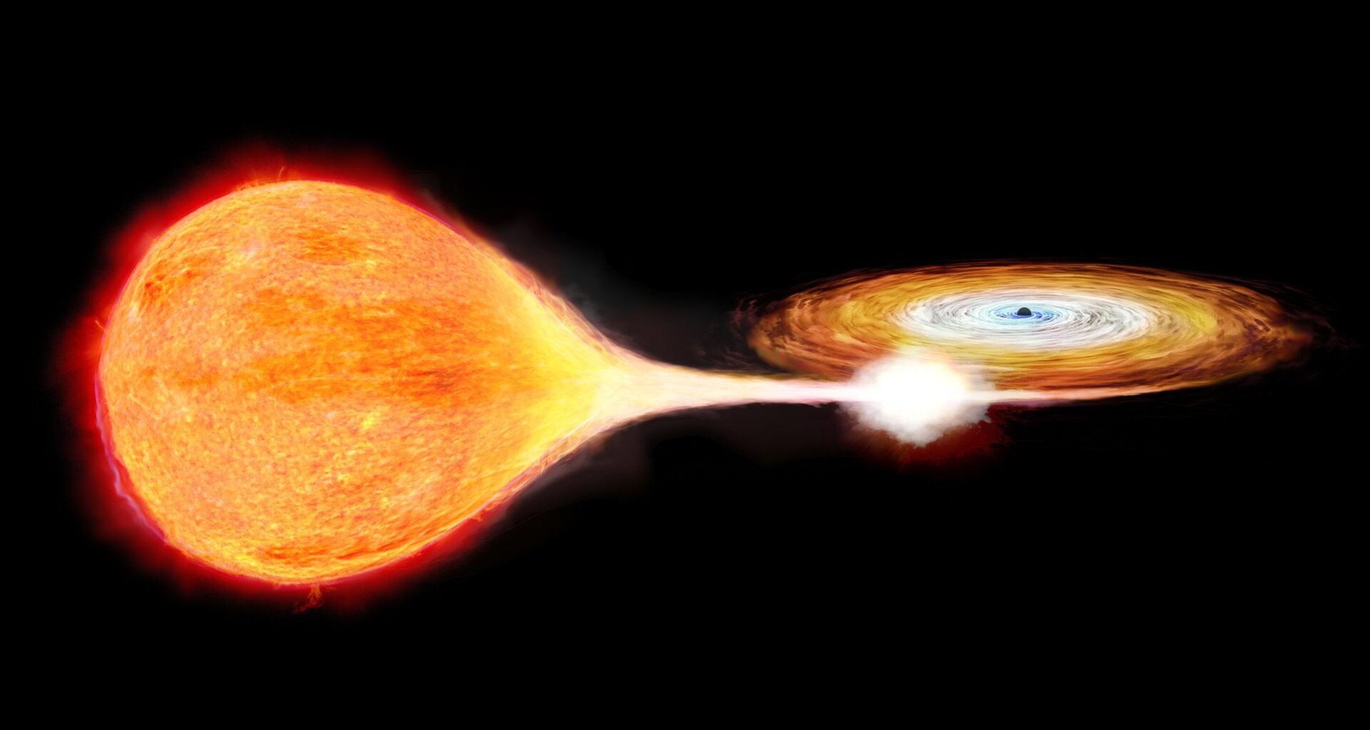 XRISM reveals slow-moving hot gas near black hole during faint X-ray phase
