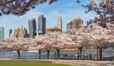 NYC’s Spring Blossoms Will Arrive Later, Says Yale Study
