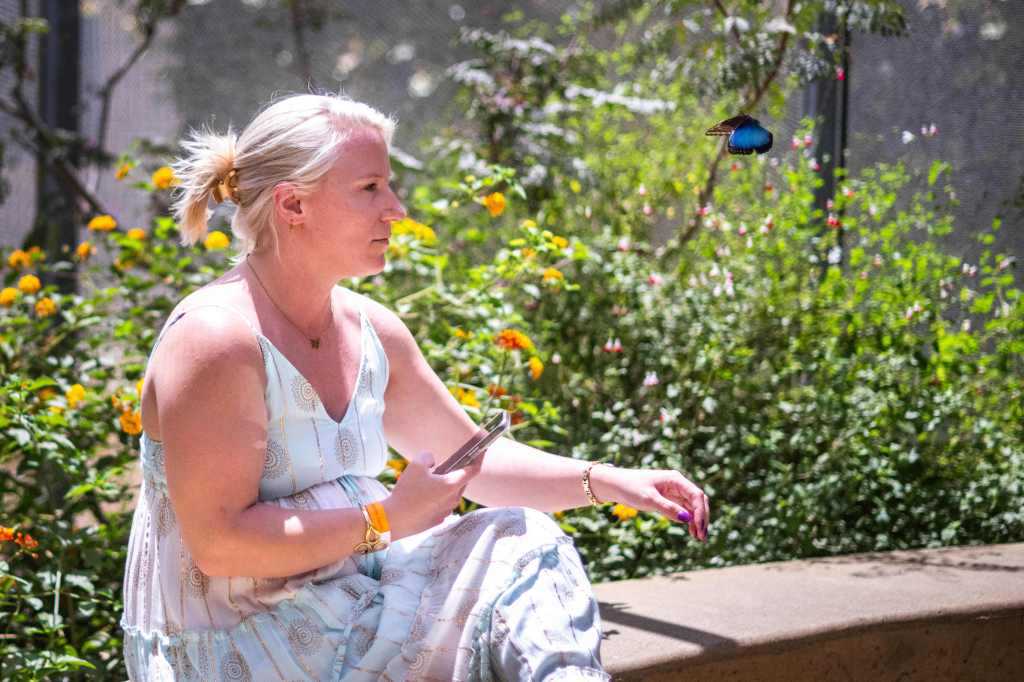 Things to do in Los Angeles County, Aug. 21-29 – Daily News