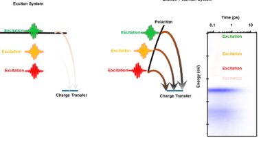 Scientists harness polaritons, making a leap in molecular charge transfer