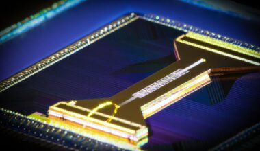 Two quantum computers with 20 qubits manage to simulate information scrambling