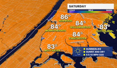 Sunny skies and warm Saturday in The Bronx