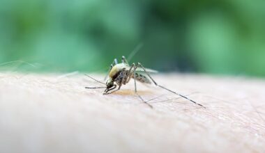 New York City reports first human West Nile cases of 2025