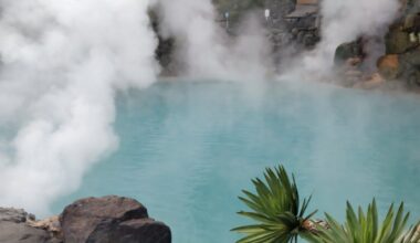Yogurt and hot spring bathing show a promising combination for gut health
