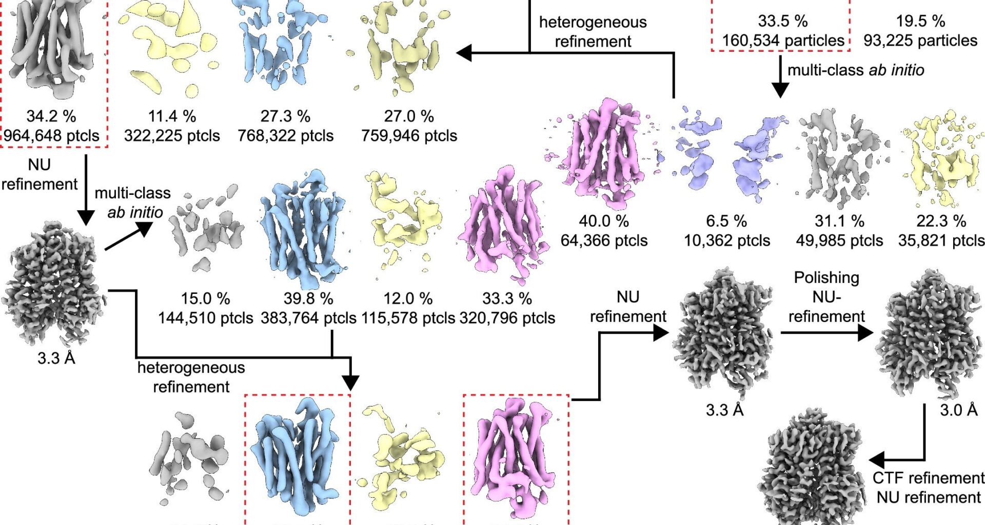 A new genetic link to pain provides a promising drug target