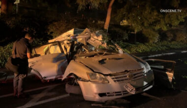Driver killed in crash after sedan strikes light pole in Vista