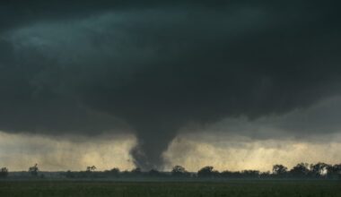 Jacksonville tornado: Possible twister in Florida; NWS issues warning for Duval County - Watch | World News